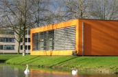 Middenpolder